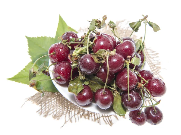 Cerejas frescas isoladas a branco — Fotografia de Stock