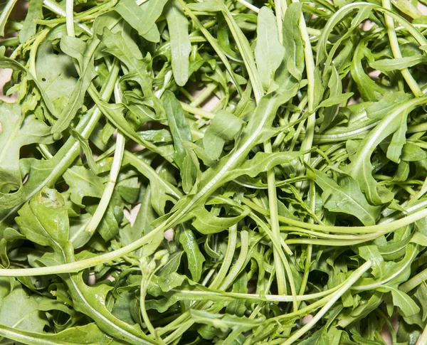 Arugula Salad background — Stock Photo, Image
