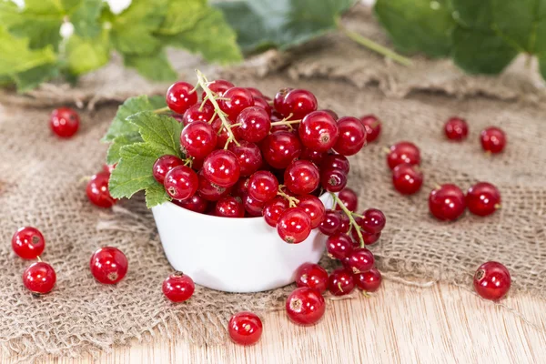 Fresh Red Currants — Stock Photo, Image