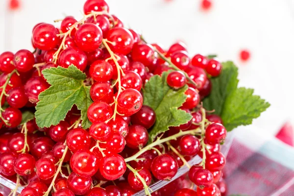 Heap of Red Currants — Stock Photo, Image