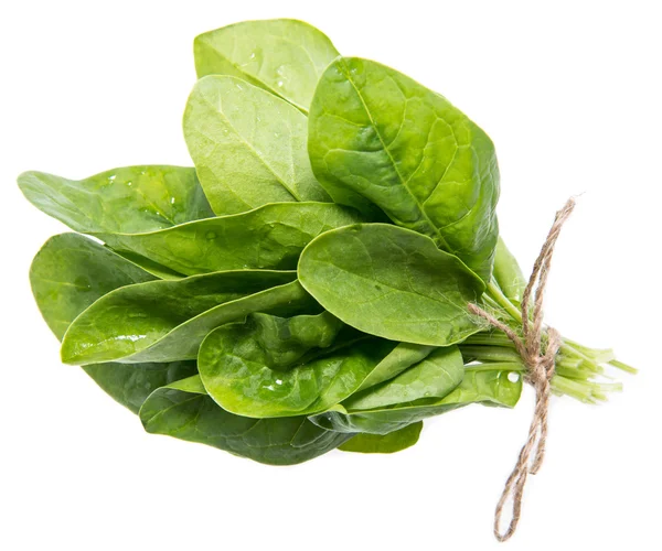 Portion of Spinach on white — Stock Photo, Image