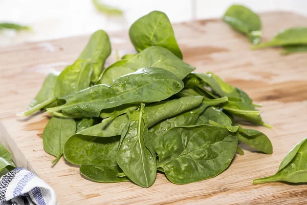 Frische Spinatblätter — Stockfoto