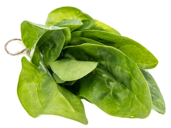 Spinach Leaves isolated on white — Stock Photo, Image