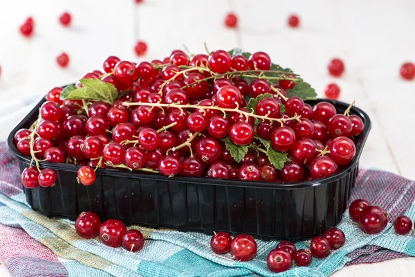 Red Currants (macro shot) — Stock Photo, Image