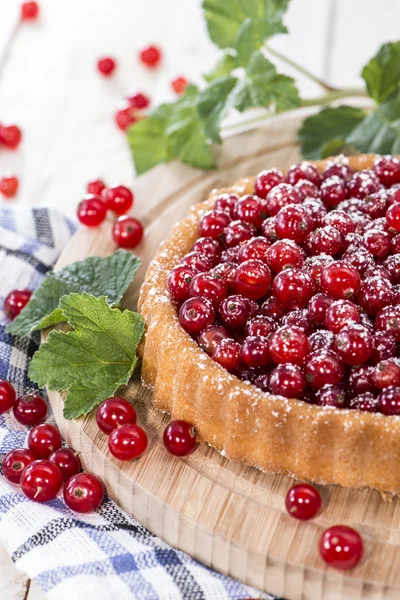 Pastel de grosella roja pequeña — Foto de Stock