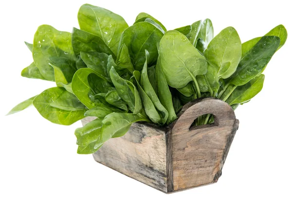 Portion of Spinach on white — Stock Photo, Image