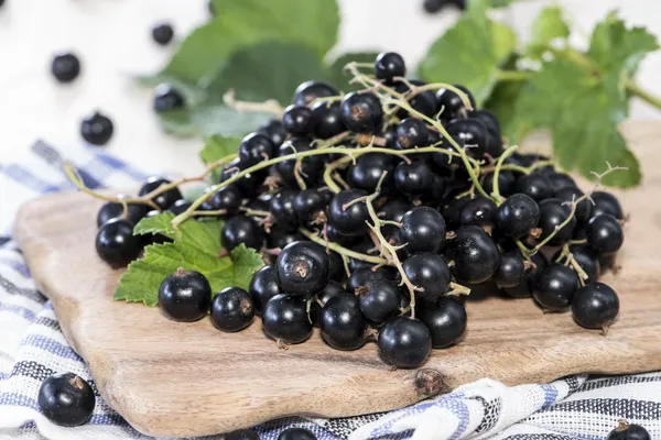 Schwarze Johannisbeeren — Stockfoto