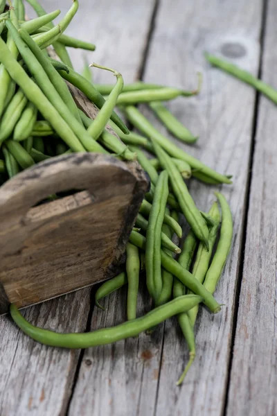 Green Beans — Stock Photo, Image