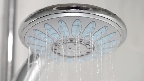 Cabeza de ducha con agua corriente — Vídeo de stock