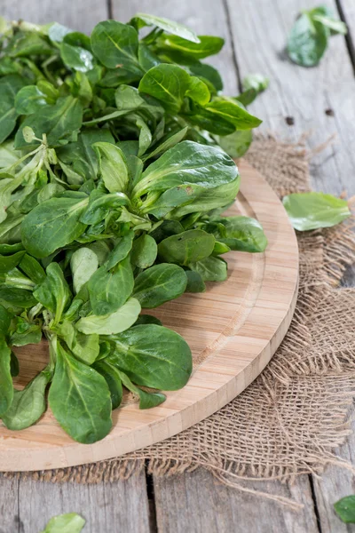 Fresh Lamb's Lettuce — Stock Photo, Image