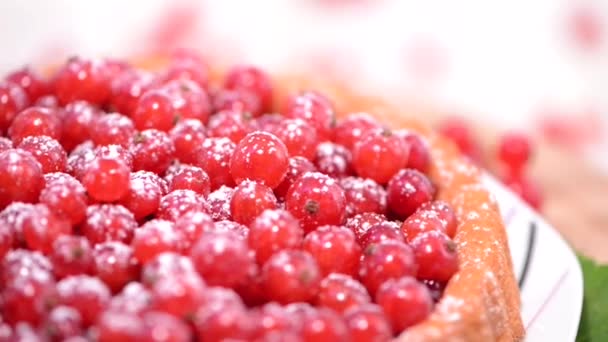 Torta de groselha vermelha — Vídeo de Stock