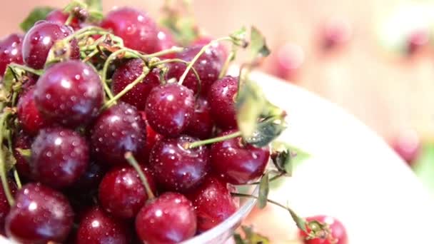 Cerezas frescas giratorias — Vídeo de stock