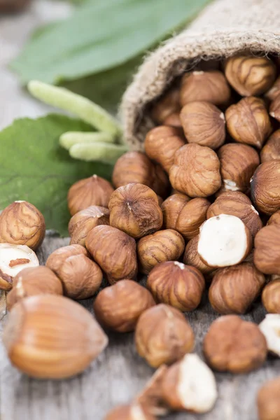 Hazelnuts — Stock fotografie