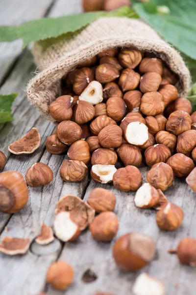 Fresh Hazelnuts — Stock Photo, Image