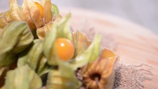 Rotación de Physalis Frutas (HD macro Vídeo ) — Vídeo de stock