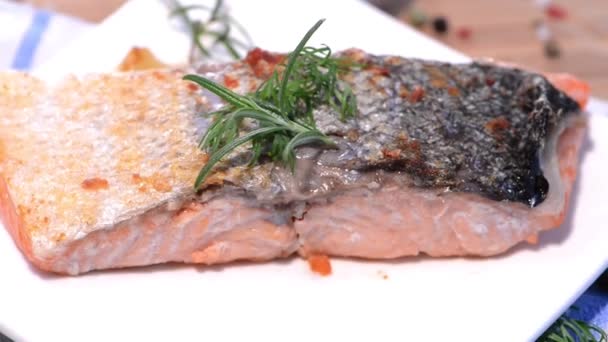 Carne de salmón — Vídeo de stock