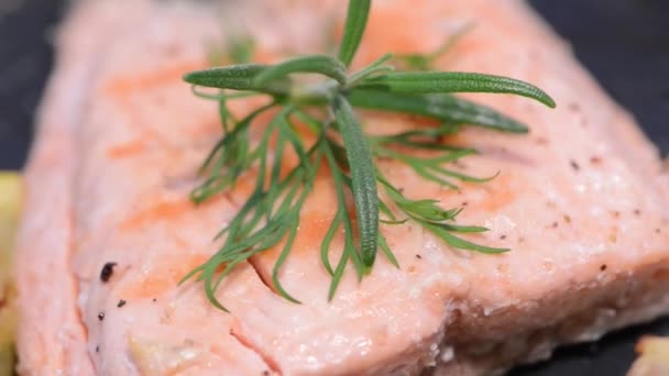 Bistecca di salmone — Video Stock