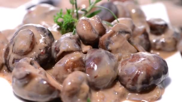 Funghi in salsa alla crema — Video Stock