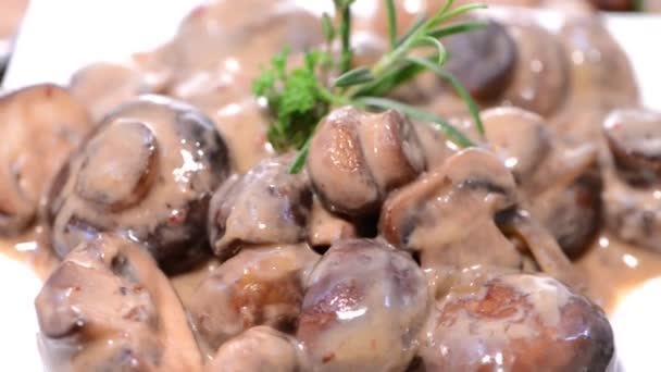 Mushrooms in Cream Sauce — Stock Video