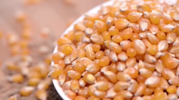 Yellow corn — Stock Video