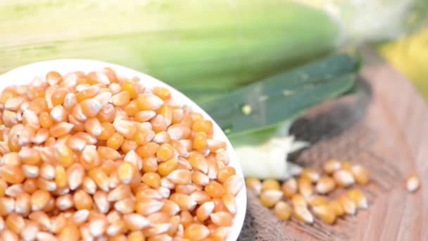 Sweetcorn — Stock video