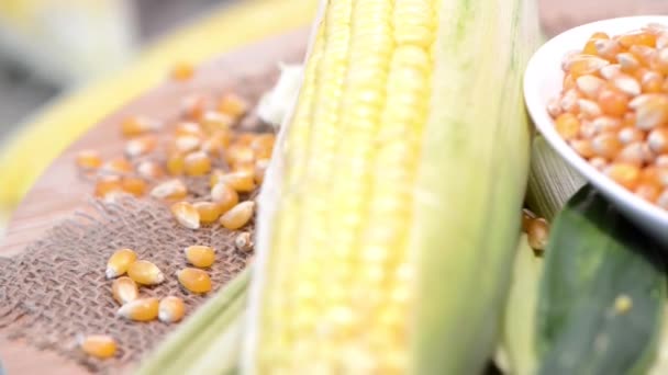 Sweetcorn — Stock video