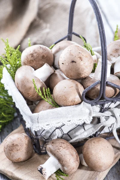 Heap of fresh Mushrooms — Stock Photo, Image