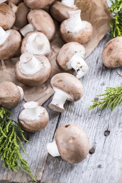 Some Fresh Mushrooms — Stock Photo, Image