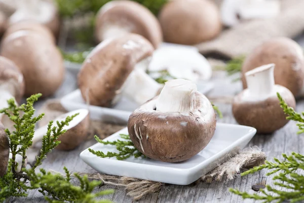 Fresh Mushrooms — Stock Photo, Image
