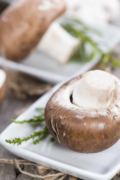 Fresh Mushrooms — Stock Photo, Image