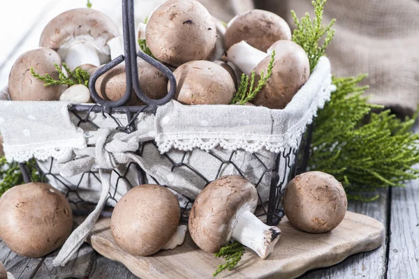 Some Fresh Mushrooms — Stock Photo, Image