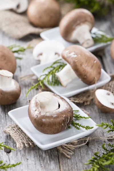 Fresh Mushrooms — Stock Photo, Image