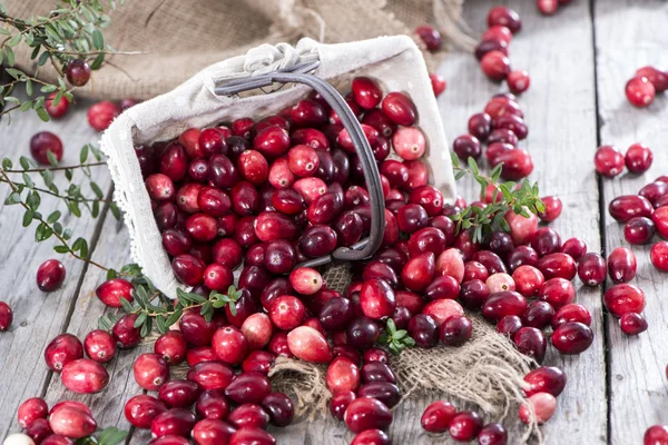 Fresh Cranberries — Stock Photo, Image