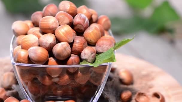 Hazelnuts — Stock Video