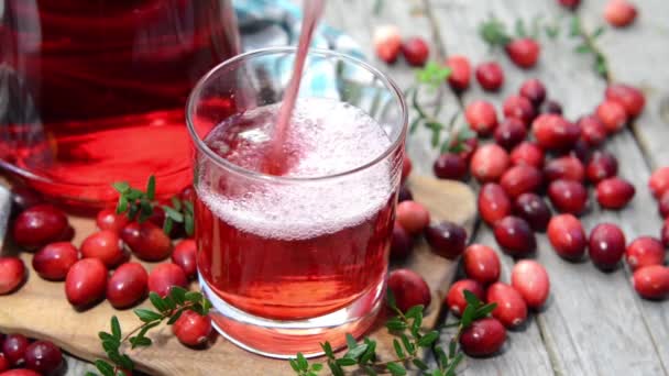 Chilled Cranberry Juice in a glass — Stock Video
