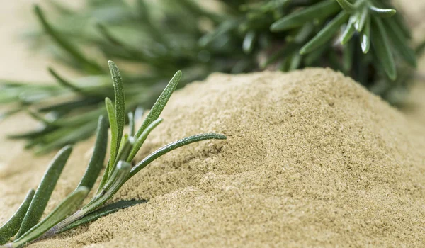 Rosemary Herbs — Stock Photo, Image