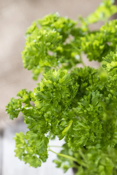 Petržel rostlin (close-up shot) — Stock fotografie