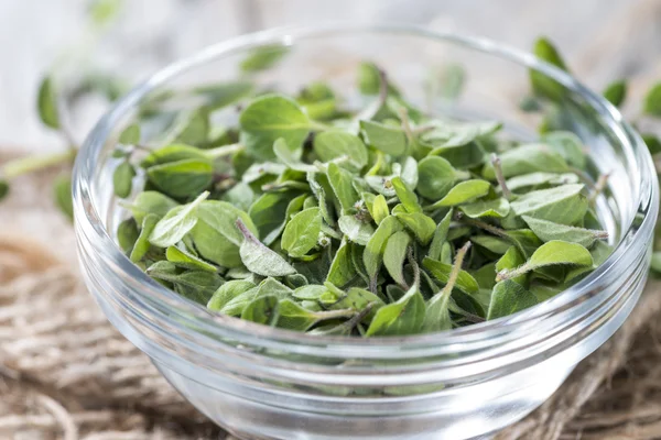 Färsk oregano — Stockfoto