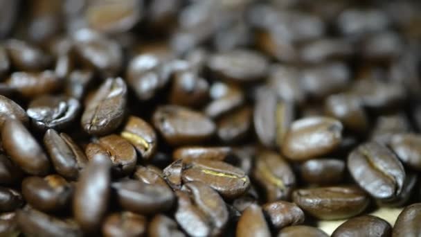 Grains de café tournant — Video