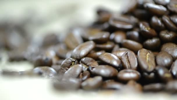 Grains de café tournant — Video