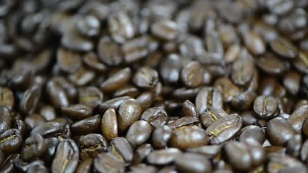 Grains de café tournant — Video