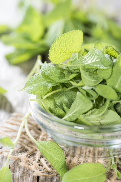 Fresh Sage — Stock Photo, Image