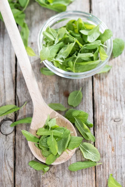 Salvia su un cucchiaio di legno — Foto Stock