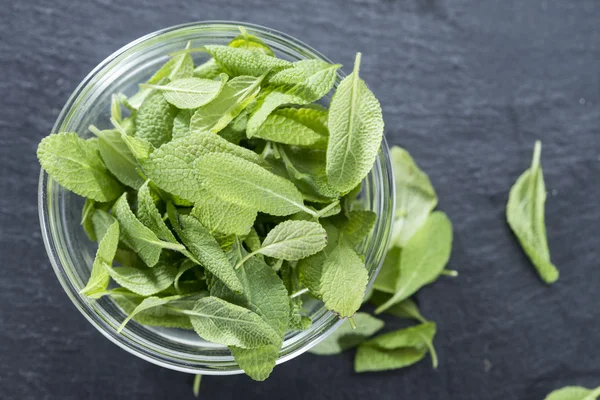 Fresh Sage in a bowl — Stock Photo, Image