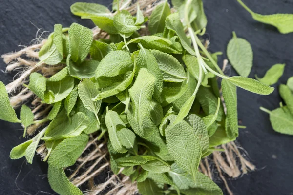 Fresh Sage — Stock Photo, Image