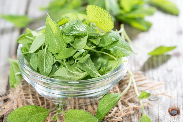 Fresh Sage in a bowl — Stock Photo, Image