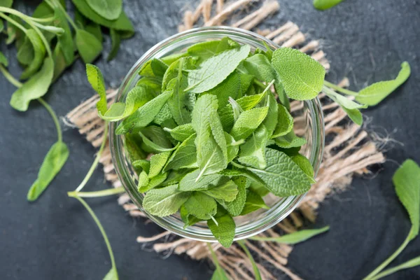 Fresh Sage in a bowl — Stock Photo, Image