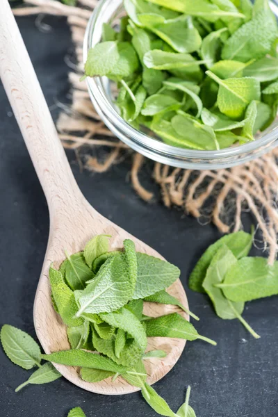 Sage on a wooden spoon — Stock Photo, Image