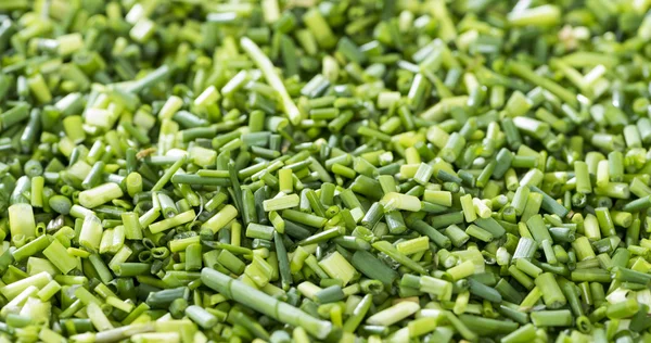 Backround di erba cipollina fresca — Foto Stock