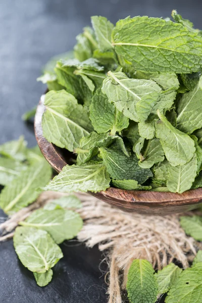 Fresh Mint — Stock Photo, Image